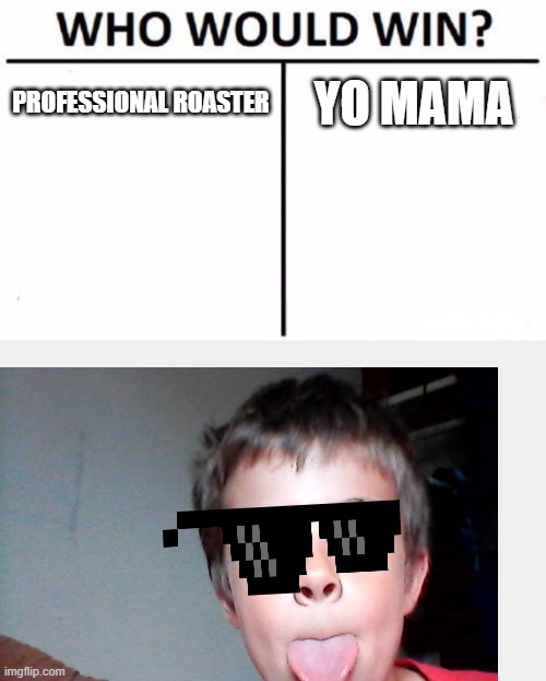 Who Would Win? | PROFESSIONAL ROASTER; YO MAMA | image tagged in memes,who would win | made w/ Imgflip meme maker