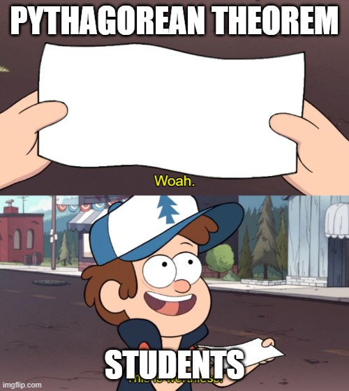 Meme | PYTHAGOREAN THEOREM; STUDENTS | image tagged in this is useless | made w/ Imgflip meme maker