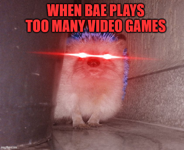 Demon Sonic | WHEN BAE PLAYS TOO MANY VIDEO GAMES | image tagged in sonic the hedgehog,hedgehog,video games,gaming,funny animals,spooky month | made w/ Imgflip meme maker