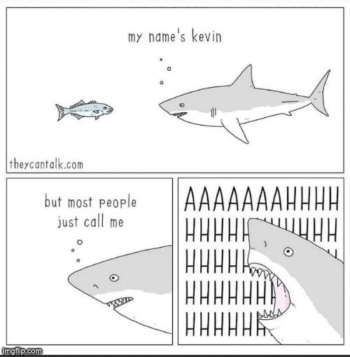 Sharks | made w/ Imgflip meme maker