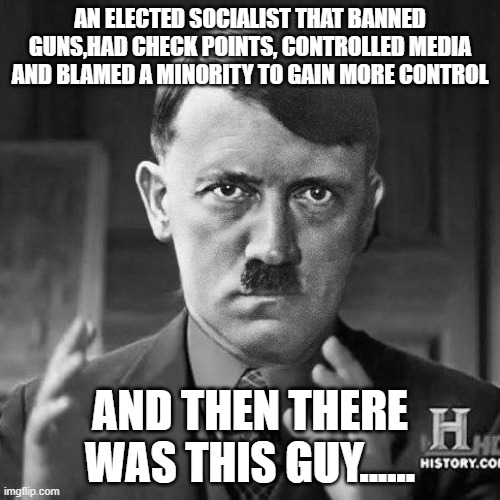 Adolf Hitler aliens | AN ELECTED SOCIALIST THAT BANNED GUNS,HAD CHECK POINTS, CONTROLLED MEDIA AND BLAMED A MINORITY TO GAIN MORE CONTROL; AND THEN THERE WAS THIS GUY...... | image tagged in adolf hitler aliens | made w/ Imgflip meme maker