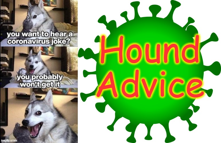 Hound Advice ! | Hound
Advice | image tagged in coronavirus | made w/ Imgflip meme maker