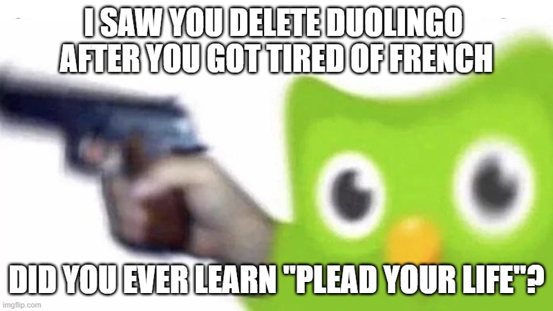 Evil duolingo owl | I SAW YOU DELETE DUOLINGO 
AFTER YOU GOT TIRED OF FRENCH; DID YOU EVER LEARN "PLEAD YOUR LIFE"? | image tagged in evil duolingo owl | made w/ Imgflip meme maker