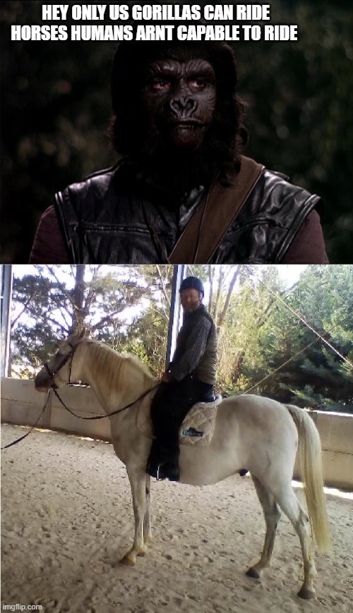 Gorilla and a Human | HEY ONLY US GORILLAS CAN RIDE HORSES HUMANS ARNT CAPABLE TO RIDE | image tagged in gorilla and a human | made w/ Imgflip meme maker