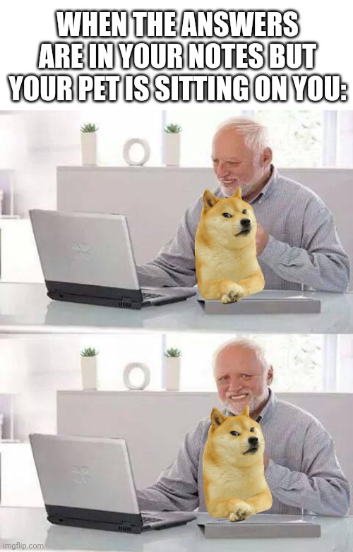 Hide the Pain Harold | WHEN THE ANSWERS ARE IN YOUR NOTES BUT YOUR PET IS SITTING ON YOU: | image tagged in memes,hide the pain harold | made w/ Imgflip meme maker