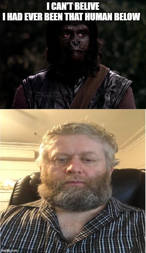 gorilla and his former human self | I CAN'T BELIVE I HAD EVER BEEN THAT HUMAN BELOW | image tagged in gorilla and human | made w/ Imgflip meme maker