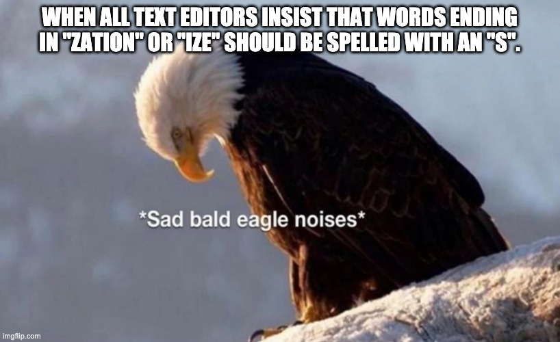 american spelling | WHEN ALL TEXT EDITORS INSIST THAT WORDS ENDING IN "ZATION" OR "IZE" SHOULD BE SPELLED WITH AN "S". | image tagged in funny | made w/ Imgflip meme maker