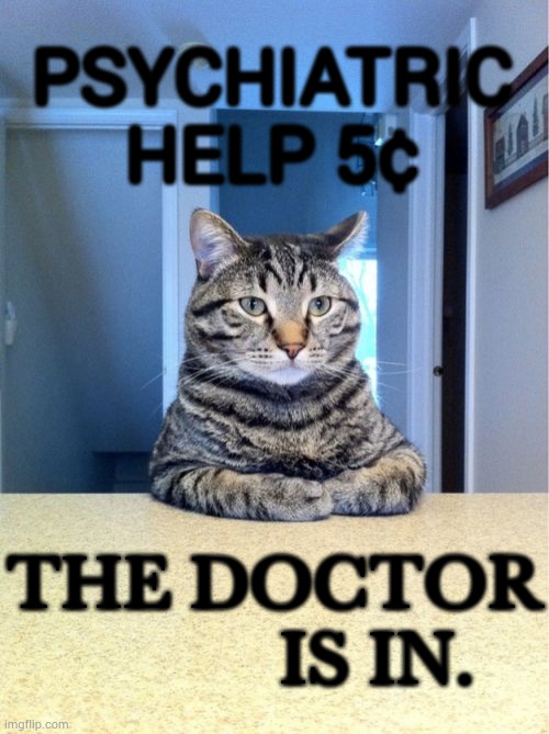 Take A Seat Cat | PSYCHIATRIC HELP 5¢; THE DOCTOR            IS IN. | image tagged in memes,take a seat cat,cats,help,the doctor,is in | made w/ Imgflip meme maker