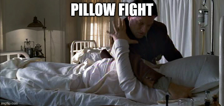 Fight | PILLOW FIGHT | image tagged in pillow,fight,die | made w/ Imgflip meme maker