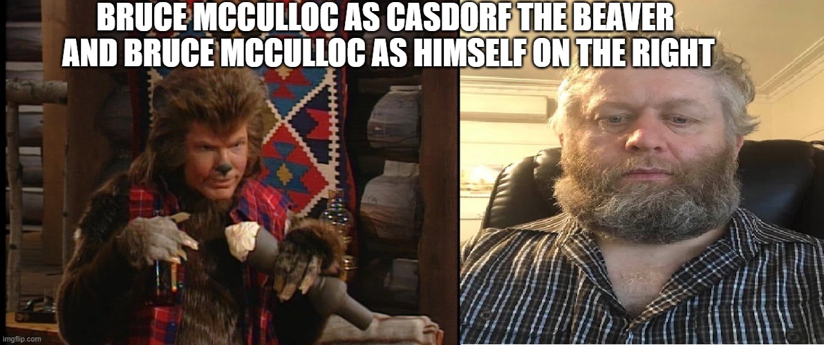 roles Switched | BRUCE MCCULLOC AS CASDORF THE BEAVER  AND BRUCE MCCULLOC AS HIMSELF ON THE RIGHT | image tagged in roles switched | made w/ Imgflip meme maker