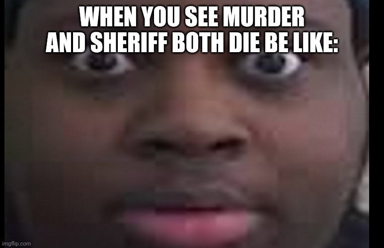 mm2 in a nutshell | WHEN YOU SEE MURDER AND SHERIFF BOTH DIE BE LIKE: | image tagged in edp stare,murder,mystery | made w/ Imgflip meme maker