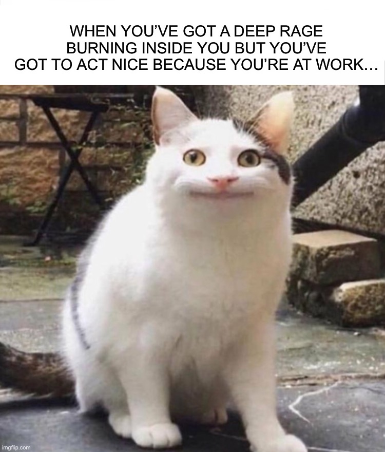 When you have a deep rage burning inside you >:) | WHEN YOU’VE GOT A DEEP RAGE BURNING INSIDE YOU BUT YOU’VE GOT TO ACT NICE BECAUSE YOU’RE AT WORK… | image tagged in memes,funny,polite cat,work,lmao,rage | made w/ Imgflip meme maker