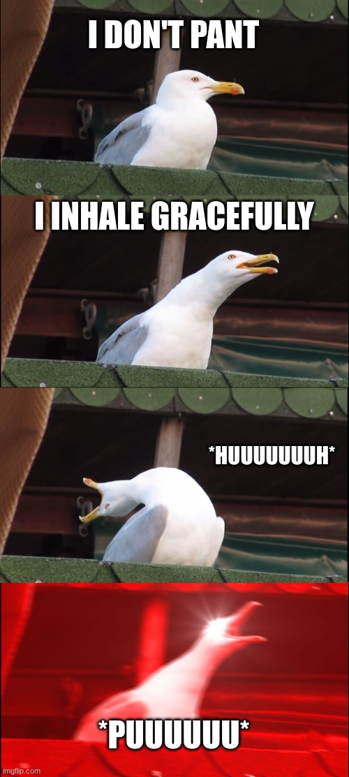 Inhaling Seagull | I DON'T PANT; I INHALE GRACEFULLY; *HUUUUUUUH*; *PUUUUUU* | image tagged in memes,inhaling seagull | made w/ Imgflip meme maker