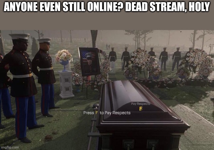 F | ANYONE EVEN STILL ONLINE? DEAD STREAM, HOLY | image tagged in press f to pay respects | made w/ Imgflip meme maker