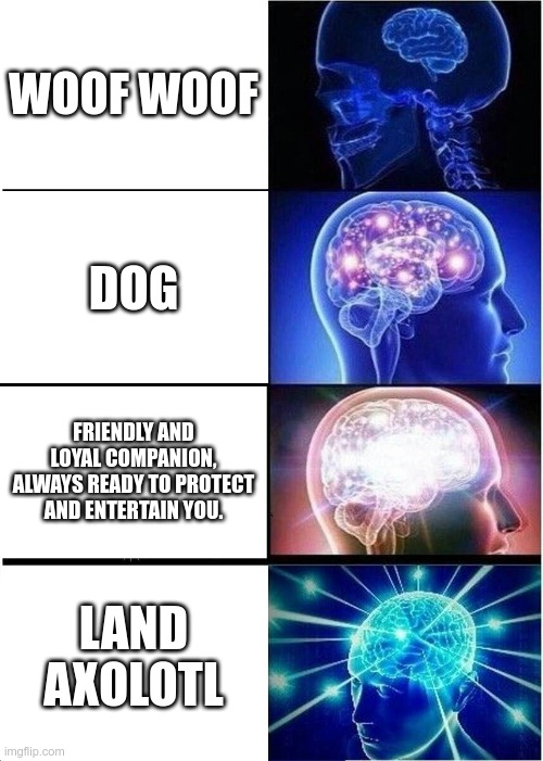 Y E S | WOOF WOOF; DOG; FRIENDLY AND LOYAL COMPANION, ALWAYS READY TO PROTECT AND ENTERTAIN YOU. LAND AXOLOTL | image tagged in memes,expanding brain,axolotl,dog,big brain | made w/ Imgflip meme maker