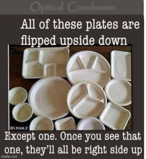 Optical Conclusion |  Optical  Conclusion | image tagged in plate toss | made w/ Imgflip meme maker
