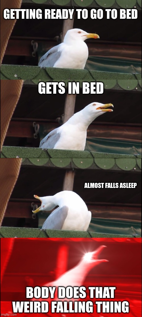 Yup | GETTING READY TO GO TO BED; GETS IN BED; ALMOST FALLS ASLEEP; BODY DOES THAT WEIRD FALLING THING | image tagged in memes,inhaling seagull | made w/ Imgflip meme maker