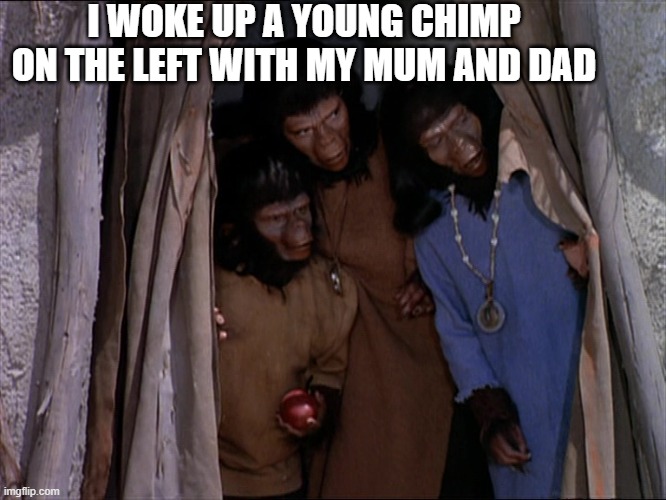 Andrew the Chimp with family | I WOKE UP A YOUNG CHIMP ON THE LEFT WITH MY MUM AND DAD | image tagged in andrew the young chimp | made w/ Imgflip meme maker