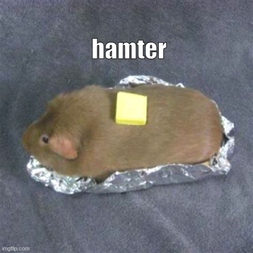 h a m t e r | hamter | image tagged in baked furry potato | made w/ Imgflip meme maker