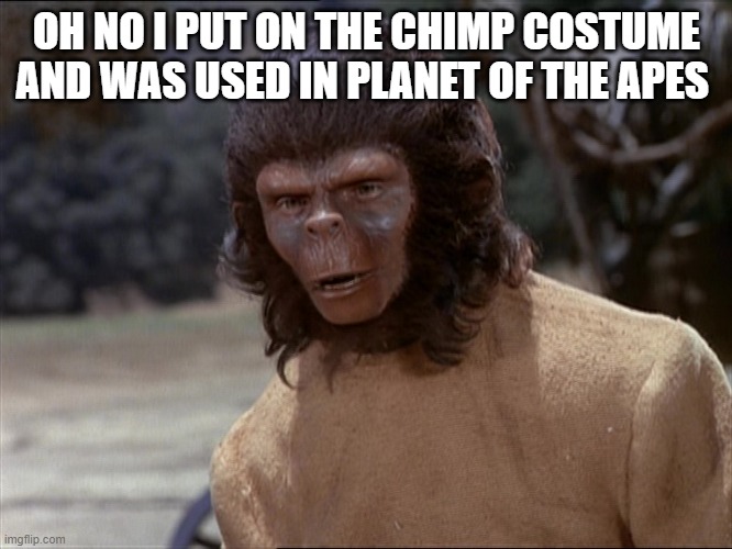 Andrew the Chimp | OH NO I PUT ON THE CHIMP COSTUME AND WAS USED IN PLANET OF THE APES | image tagged in andrew the chimp | made w/ Imgflip meme maker