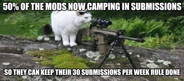 now its a race | 50% OF THE MODS NOW CAMPING IN SUBMISSIONS; SO THEY CAN KEEP THEIR 30 SUBMISSIONS PER WEEK RULE DONE | made w/ Imgflip meme maker
