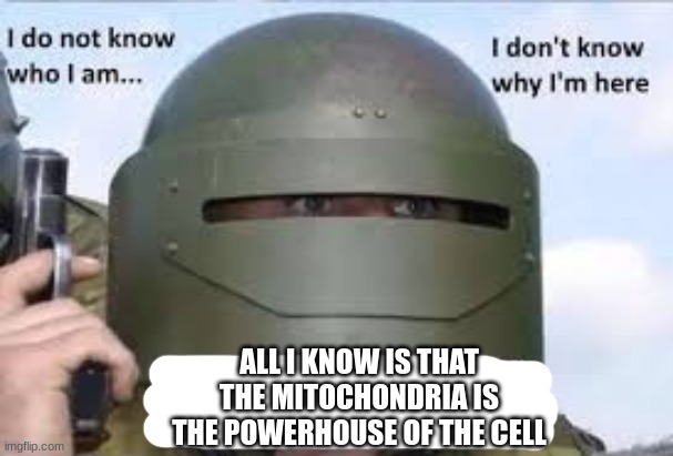 He speaks facts | ALL I KNOW IS THAT THE MITOCHONDRIA IS THE POWERHOUSE OF THE CELL | image tagged in i dont know who | made w/ Imgflip meme maker