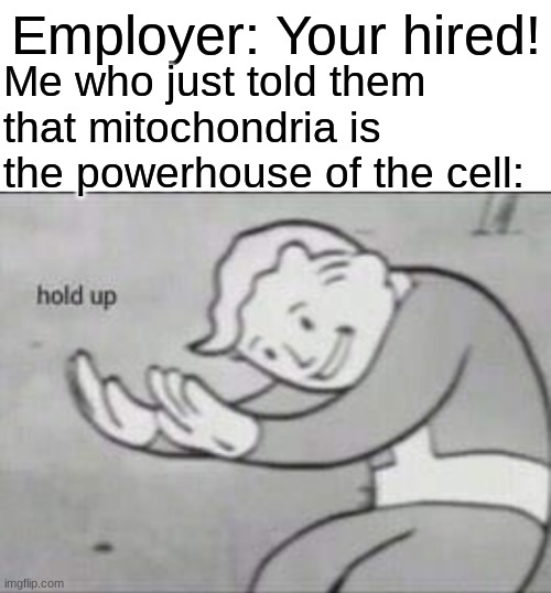 Fallout hold up with space on the top | Employer: Your hired! Me who just told them that mitochondria is the powerhouse of the cell: | image tagged in fallout hold up with space on the top | made w/ Imgflip meme maker