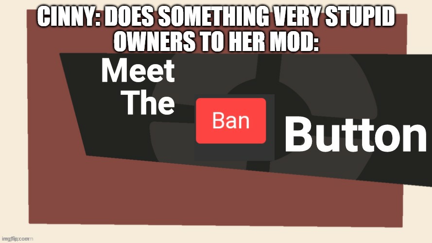 Basically in a nutshell | CINNY: DOES SOMETHING VERY STUPID
OWNERS TO HER MOD: | image tagged in meet the ban button | made w/ Imgflip meme maker