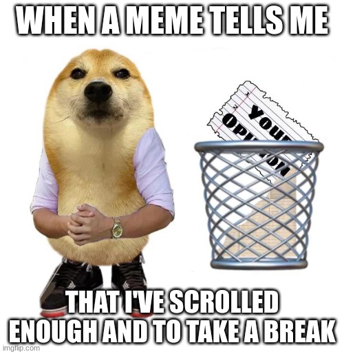 Thanks for sharing your opinion | WHEN A MEME TELLS ME; THAT I'VE SCROLLED ENOUGH AND TO TAKE A BREAK | image tagged in thanks for sharing your opinion | made w/ Imgflip meme maker