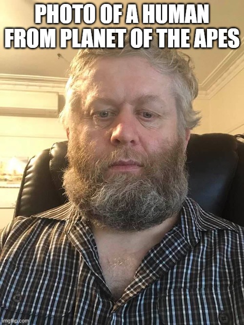 A Human | PHOTO OF A HUMAN FROM PLANET OF THE APES | image tagged in a human | made w/ Imgflip meme maker