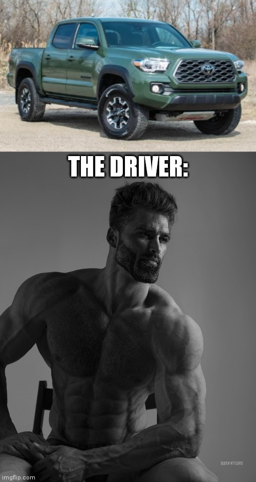 THE DRIVER: | image tagged in giga chad | made w/ Imgflip meme maker