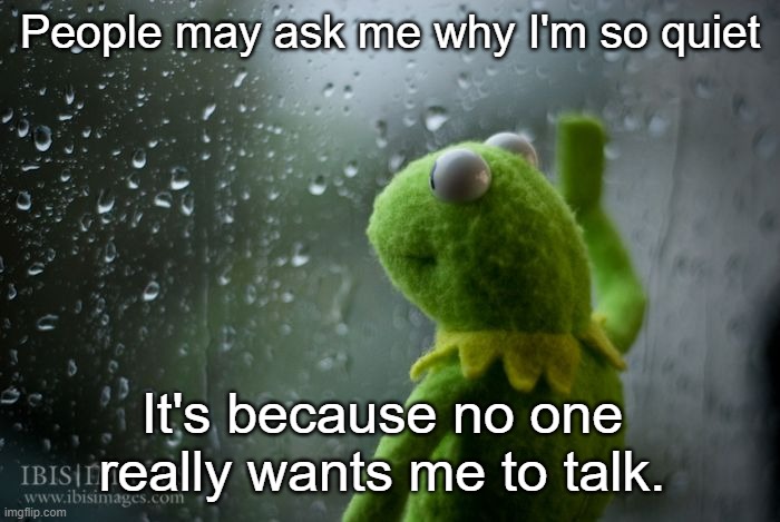 what's the point | People may ask me why I'm so quiet; It's because no one really wants me to talk. | image tagged in kermit window,depression sadness hurt pain anxiety,stop talking,do you wanna talk about it | made w/ Imgflip meme maker