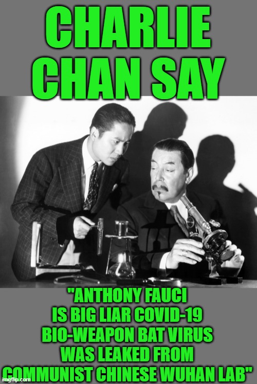 yep | CHARLIE CHAN SAY; "ANTHONY FAUCI IS BIG LIAR COVID-19 BIO-WEAPON BAT VIRUS WAS LEAKED FROM COMMUNIST CHINESE WUHAN LAB" | image tagged in democrsts,red china,bat virus | made w/ Imgflip meme maker