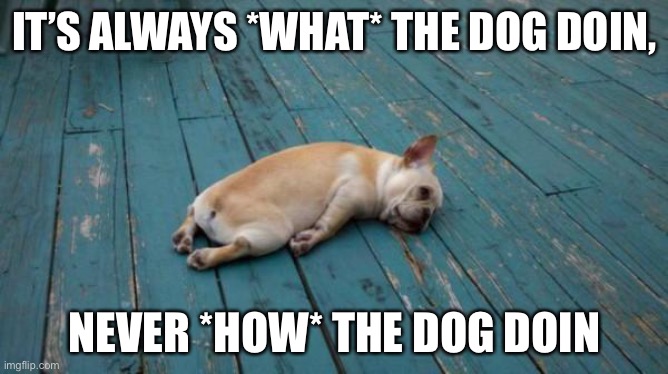 ? |  IT’S ALWAYS *WHAT* THE DOG DOIN, NEVER *HOW* THE DOG DOIN | image tagged in tired dog | made w/ Imgflip meme maker
