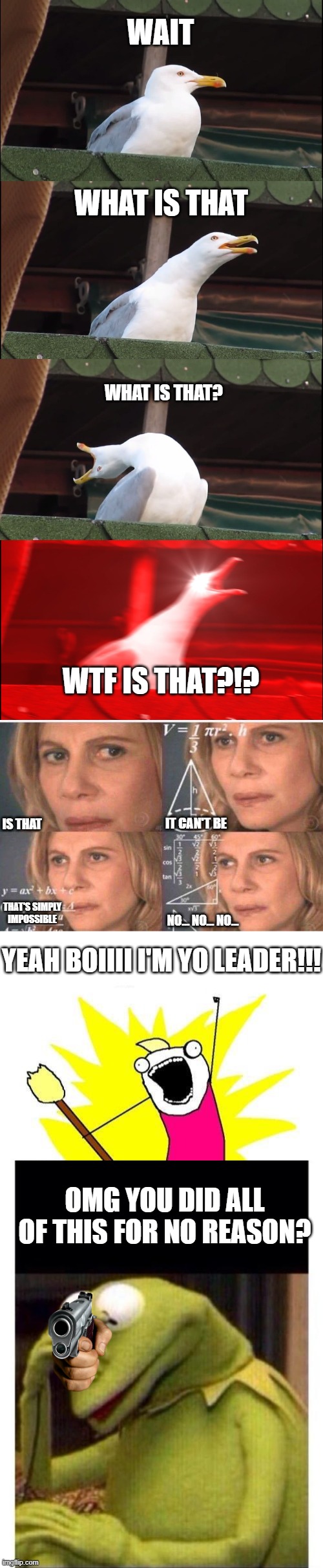 The Most Confusing Meme I've Ever Made | WAIT; WHAT IS THAT; WHAT IS THAT? WTF IS THAT?!? IT CAN'T BE; IS THAT; THAT'S SIMPLY IMPOSSIBLE; NO... NO... NO... YEAH BOIIII I'M YO LEADER!!! OMG YOU DID ALL OF THIS FOR NO REASON? | image tagged in memes,inhaling seagull,math lady/confused lady,x all the y,kermit face plam | made w/ Imgflip meme maker