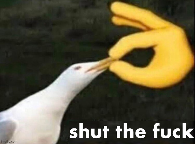 SHUT | shut the fuck | image tagged in shut | made w/ Imgflip meme maker