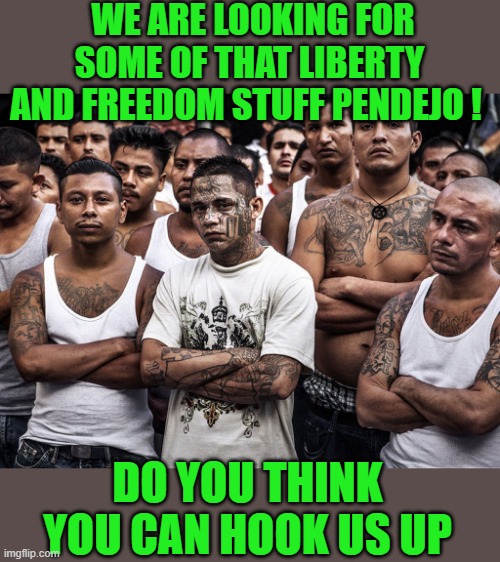 yep | WE ARE LOOKING FOR SOME OF THAT LIBERTY AND FREEDOM STUFF PENDEJO ! DO YOU THINK YOU CAN HOOK US UP | image tagged in democrats | made w/ Imgflip meme maker