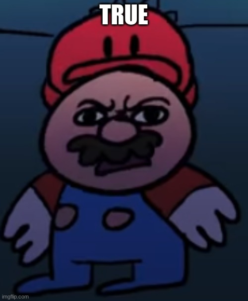 Disgusted Mario HD | TRUE | image tagged in disgusted mario hd | made w/ Imgflip meme maker