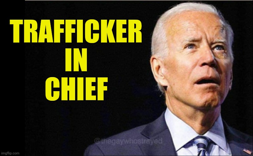 Quite the operation going on at the border. | TRAFFICKER
IN
CHIEF | image tagged in memes | made w/ Imgflip meme maker