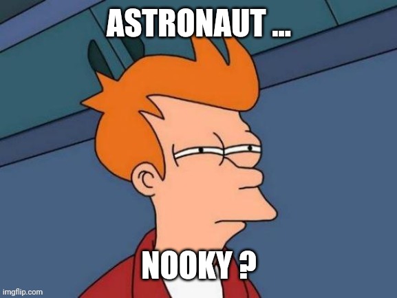 ASTRONAUT ... NOOKY ? | image tagged in not sure | made w/ Imgflip meme maker