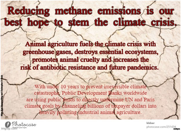 Animal Agriculture Climate Crisis | Animal agriculture fuels the climate crisis with
greenhouse gases, destroys essential ecosystems,
promotes animal cruelty and increases the
risk of antibiotic resistance and future pandemics. With under 10 years to prevent irreversible climate
catastrophe, Public Development Banks worldwide
are using public funds to directly undermine UN and Paris
climate goals by channeling billions of taxpayer dollars into
heavily polluting industrial animal agriculture. | image tagged in vegan,climate change,environment,pandemic,meat,dairy | made w/ Imgflip meme maker