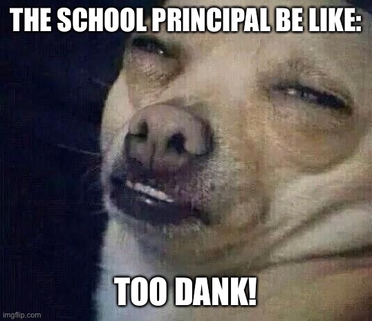 Too Dank | THE SCHOOL PRINCIPAL BE LIKE: TOO DANK! | image tagged in too dank | made w/ Imgflip meme maker