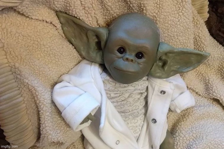 knock off baby yoda | image tagged in knock off baby yoda | made w/ Imgflip meme maker