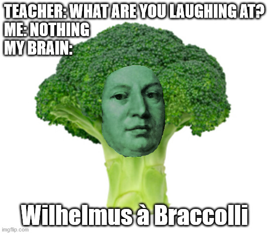 Wilhelmus à Braccoli | TEACHER: WHAT ARE YOU LAUGHING AT?
ME: NOTHING
MY BRAIN:; Wilhelmus à Braccolli | image tagged in brocolli | made w/ Imgflip meme maker