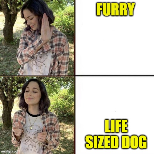 cry about it. | FURRY; LIFE SIZED DOG | image tagged in hotline bling birtch editon | made w/ Imgflip meme maker