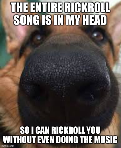 German shepherd but funni | THE ENTIRE RICKROLL SONG IS IN MY HEAD; SO I CAN RICKROLL YOU WITHOUT EVEN DOING THE MUSIC | image tagged in german shepherd but funni | made w/ Imgflip meme maker