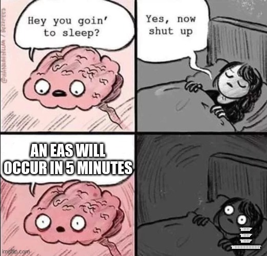 Pain | AN EAS WILL OCCUR IN 5 MINUTES; *BEEEEP*
*BEEEEP*
*BEEEEP*
*BEEEEEEEEEEEEEEEEE* | image tagged in waking up brain | made w/ Imgflip meme maker