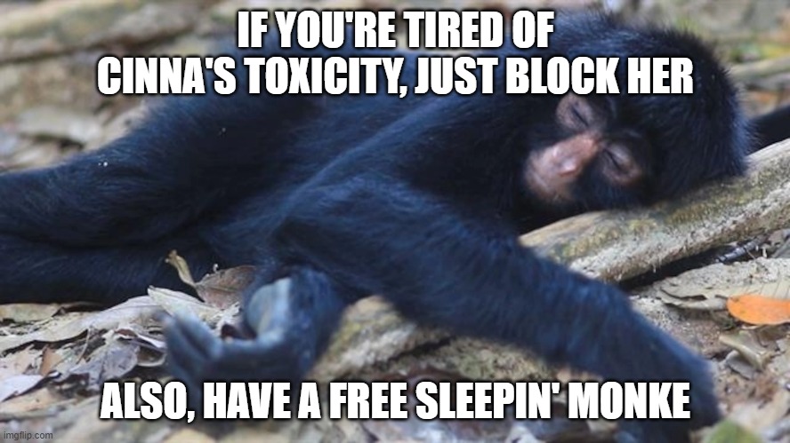 Sleepin' Monke | IF YOU'RE TIRED OF CINNA'S TOXICITY, JUST BLOCK HER; ALSO, HAVE A FREE SLEEPIN' MONKE | image tagged in sleepin' monke | made w/ Imgflip meme maker