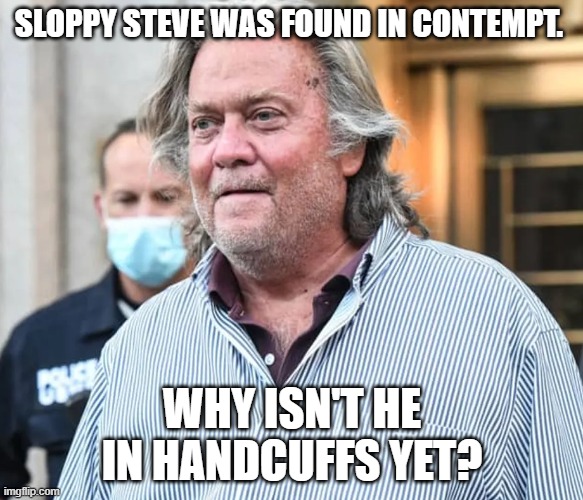 Steve Bannon | SLOPPY STEVE WAS FOUND IN CONTEMPT. WHY ISN'T HE IN HANDCUFFS YET? | image tagged in steve bannon | made w/ Imgflip meme maker