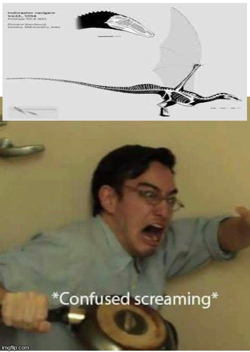 wait this is the indoraptor or a dragon | image tagged in confused screaming | made w/ Imgflip meme maker